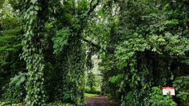 zoobotanico de franca