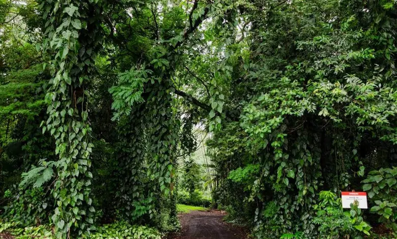 zoobotanico de franca